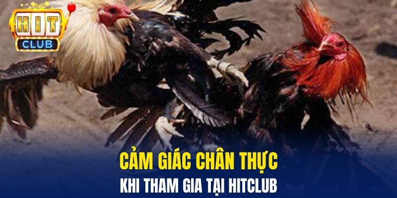 Cảm giác chân thực khi tham gia tại Hitclub
